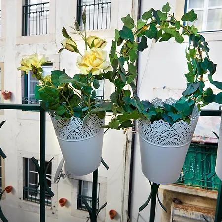 Alfama Cozy By Get Your Lisboa